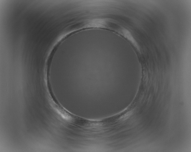 X0000070251035200606021151
