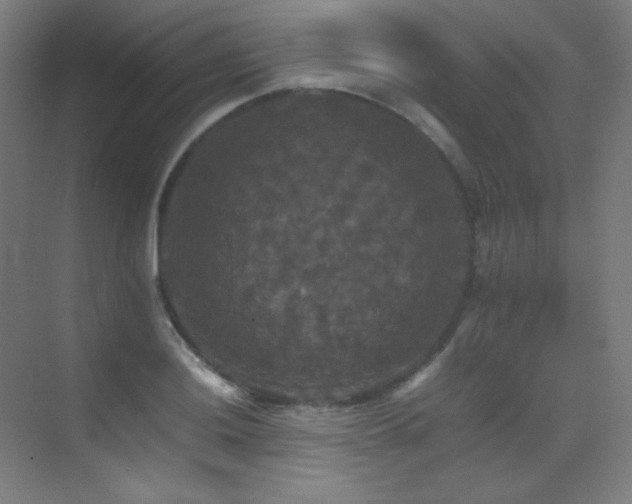 X0000070251036200606021151
