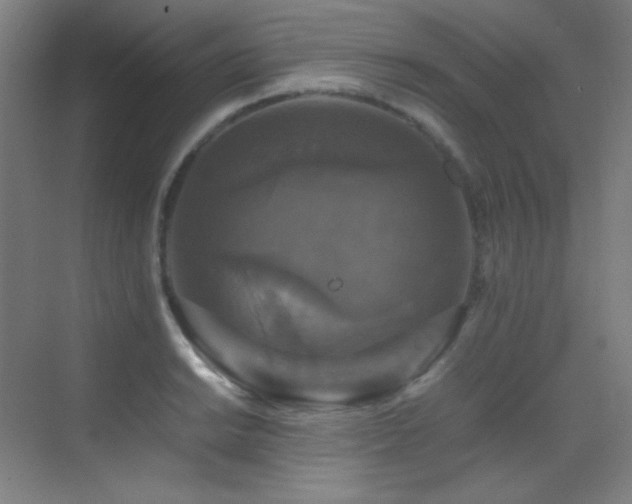 X0000070251038200606021151