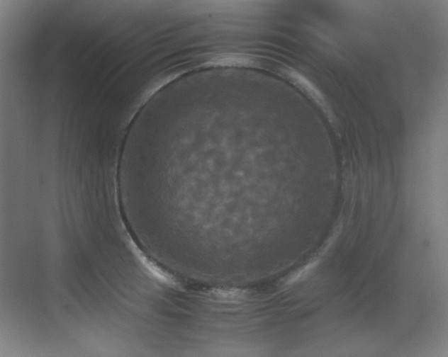 X0000070251041200606021151