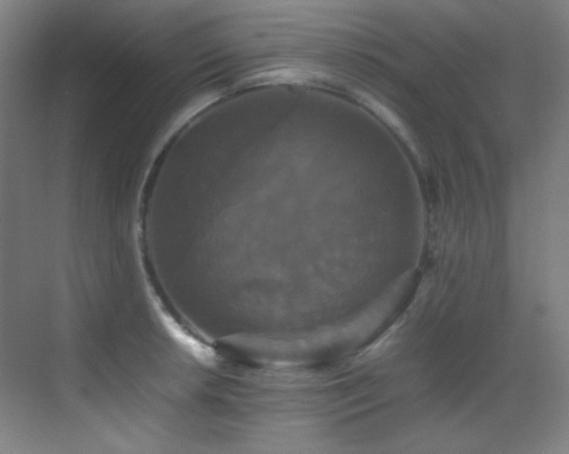 X0000070251042200606021151