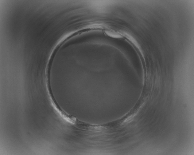 X0000070251045200606021151