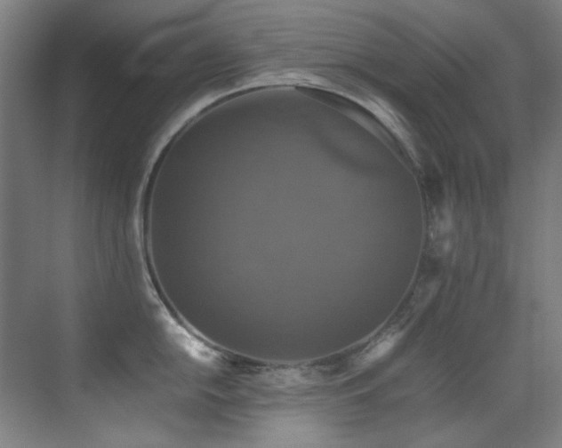 X0000070251054200606021151