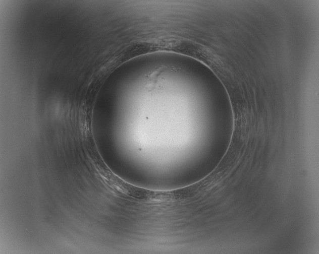 X0000070251058200606021150
