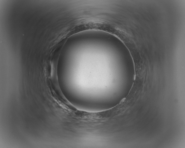 X0000070251061200606021150
