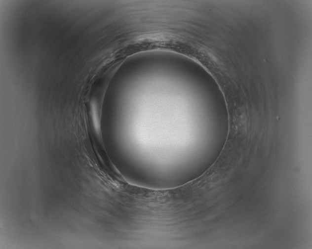 X0000070251062200606021150