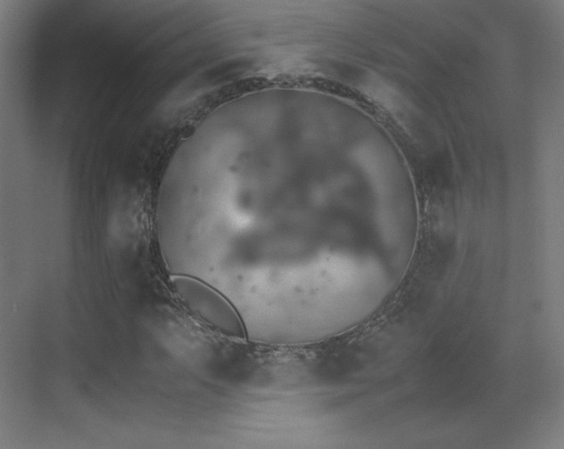 X0000070251063200606021150
