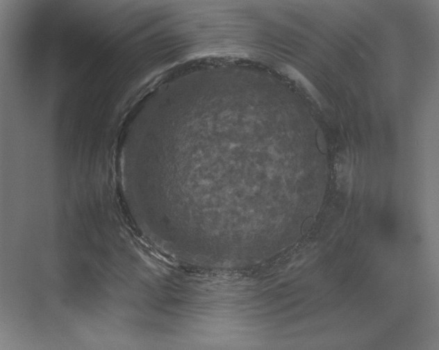 X0000070251064200606021150