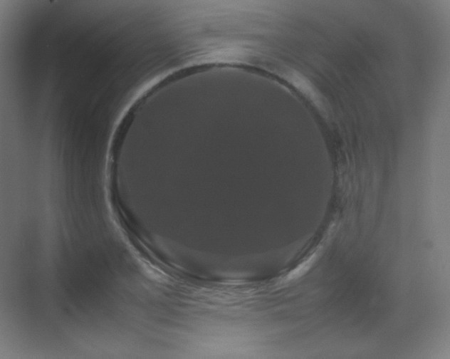 X0000070251077200606021150