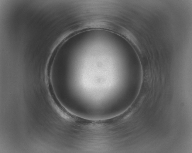 X0000070251082200606021150