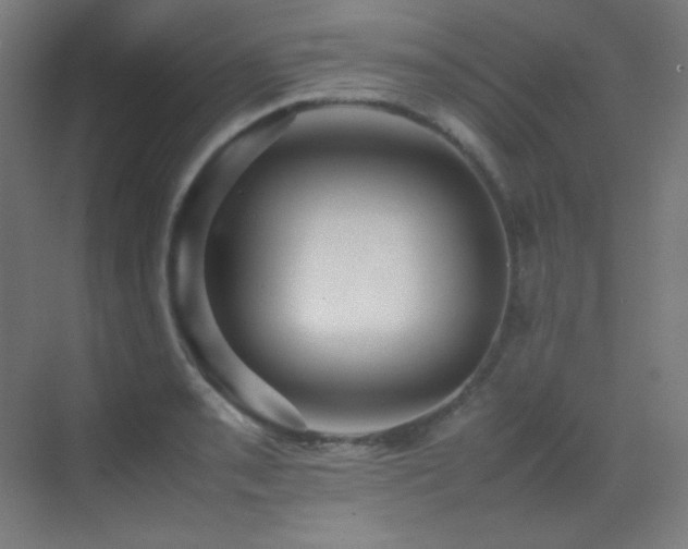 X0000070251085200606021150