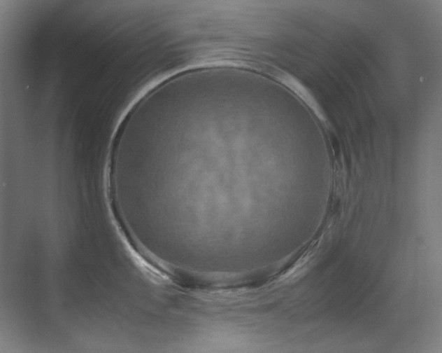 X0000070251101200606021149
