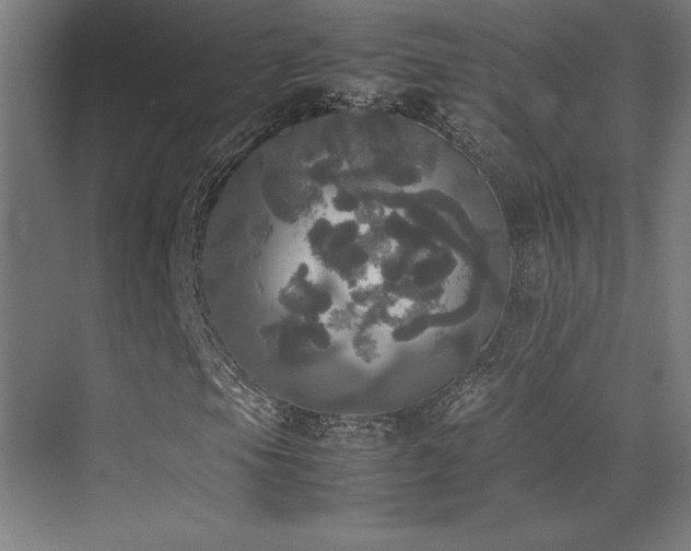 X0000070251105200606021148