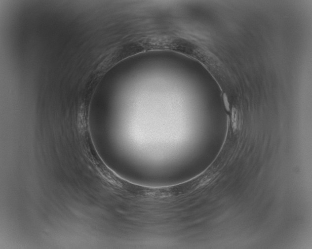 X0000070251107200606021149
