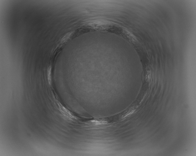 X0000070251108200606021149