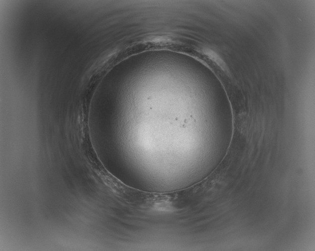 X0000070251111200606021149