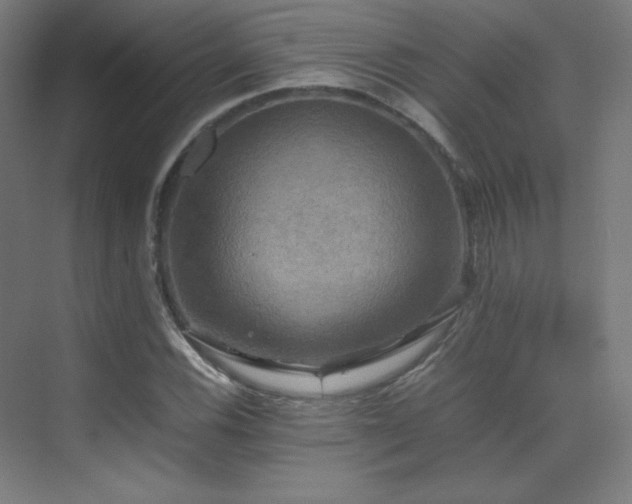 X0000070251116200606021149