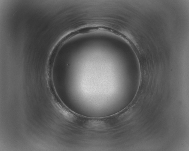 X0000070251119200606021149