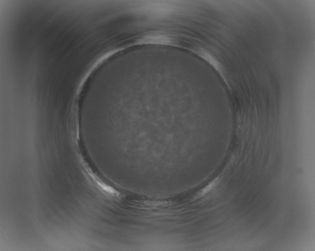 X0000070251123200606021149