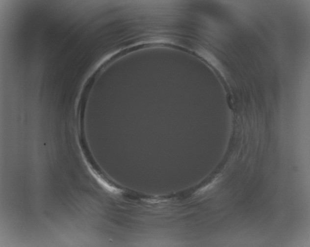 X0000070251127200606021149