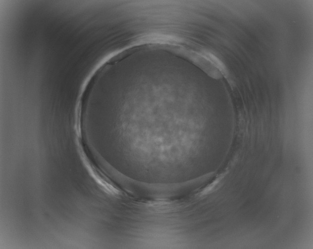 X0000070251128200606021149