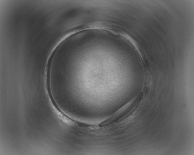X0000070251147200606021149