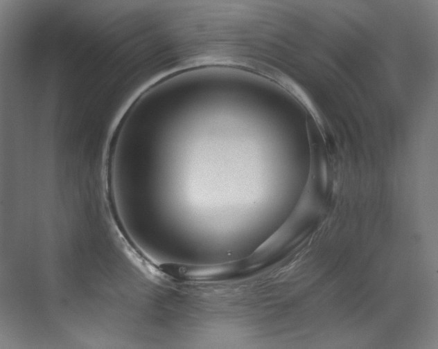 X0000070251148200606021149