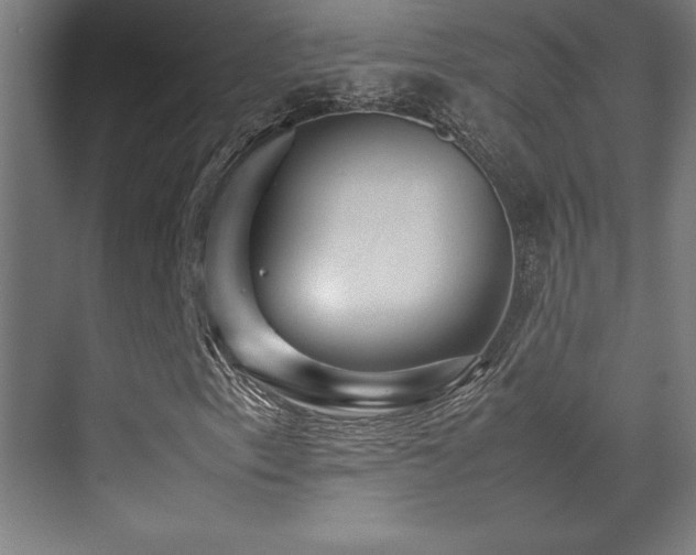 X0000070251153200606021148