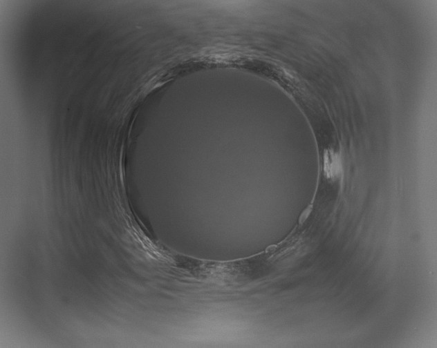 X0000070251155200606021148