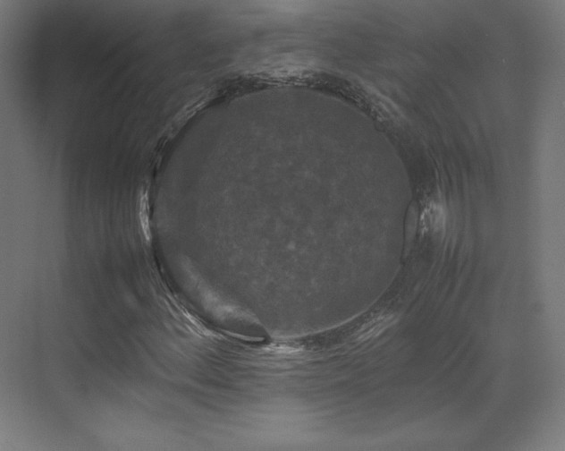 X0000070251156200606021148