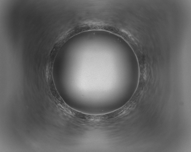 X0000070251157200606021148