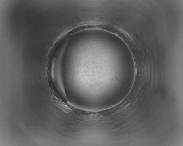 X0000070251160200606021148