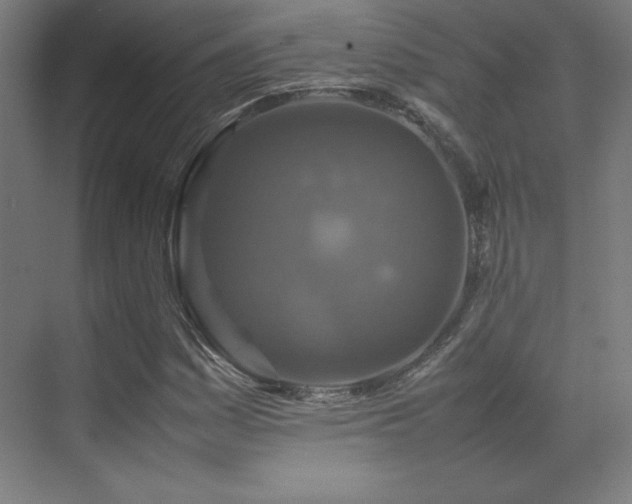 X0000070251161200606021148