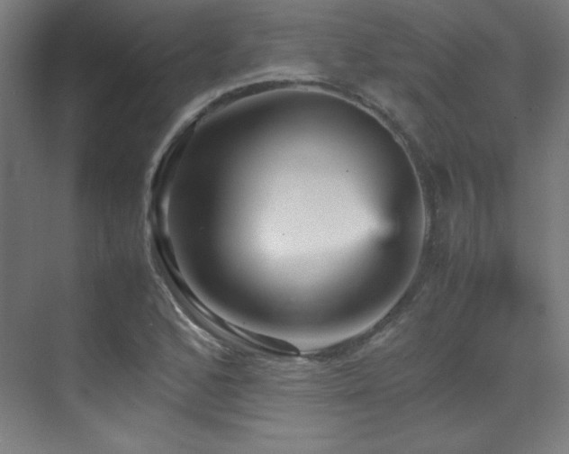 X0000070251168200606021148