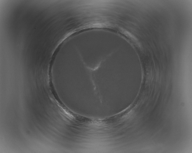 X0000070251170200606021148