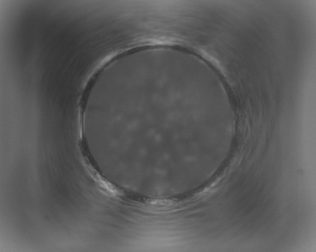 X0000070251171200606021148