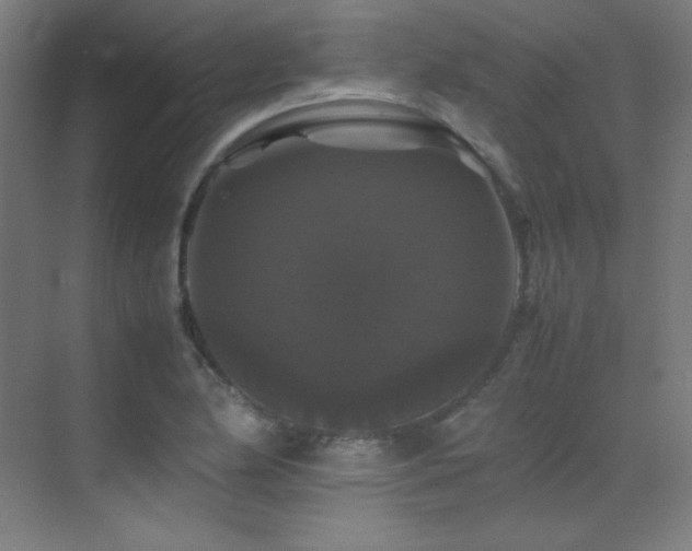 X0000070251174200606021148
