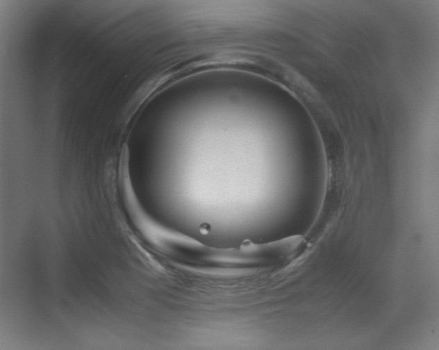 X0000070251177200606021148
