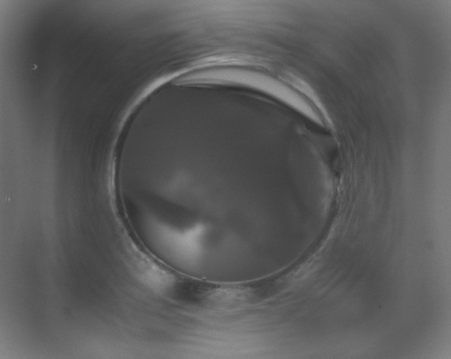 X0000070251179200606021148