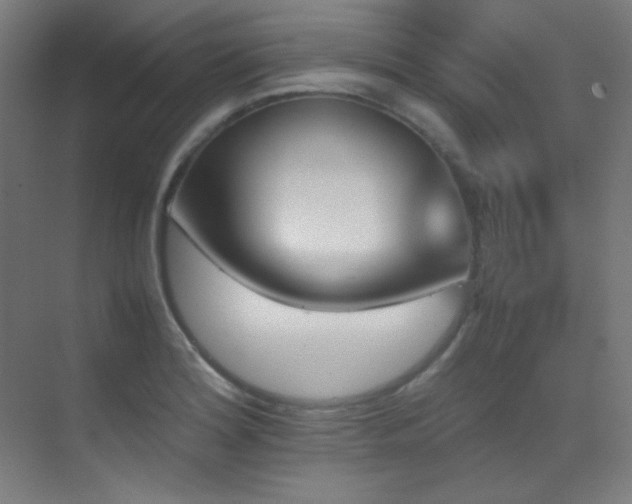 X0000070251180200606021148