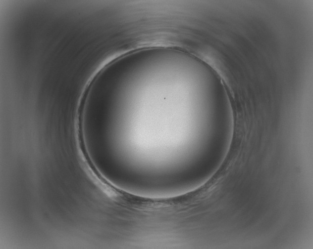 X0000070251187200606021148