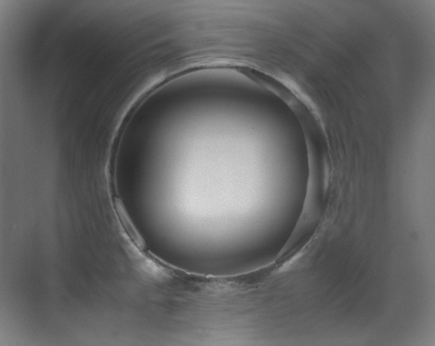 X0000070251189200606021148