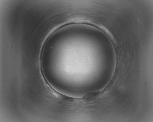X0000070251191200606021148