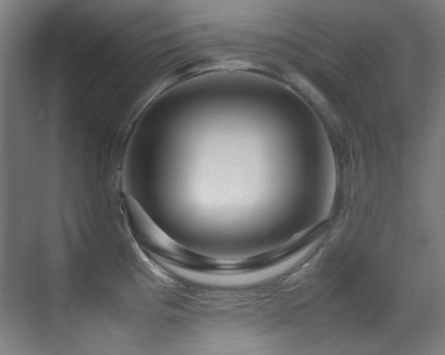 X0000070251193200606021148