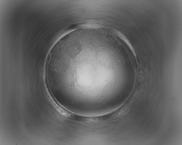X0000070251195200606021148