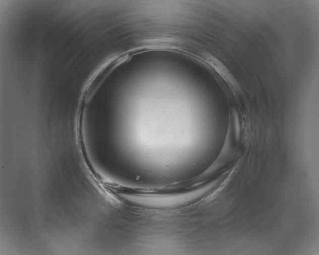 X0000070251196200606021148