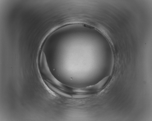 X0000070251197200606021148