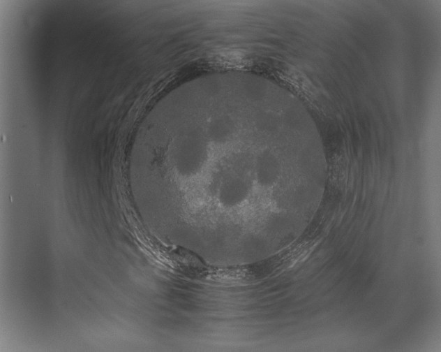 X0000070251201200606021147