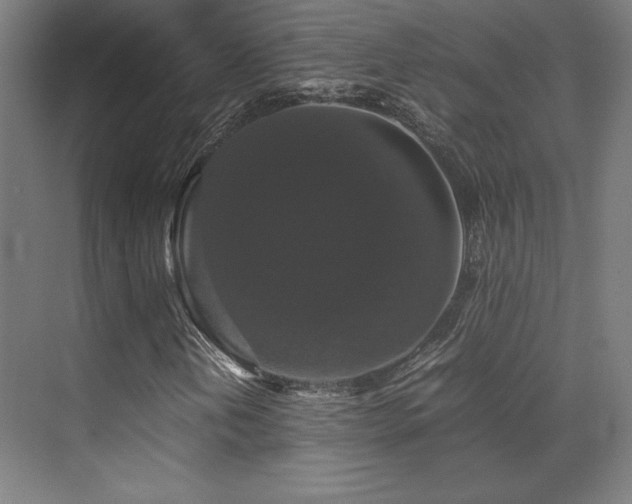 X0000070251202200606021147