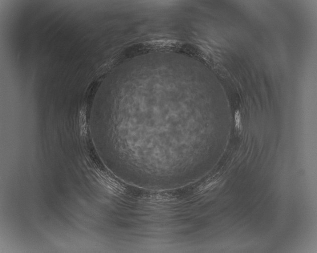 X0000070251203200606021147